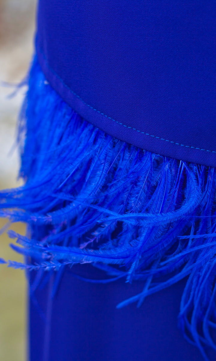 Conjunto Halcón