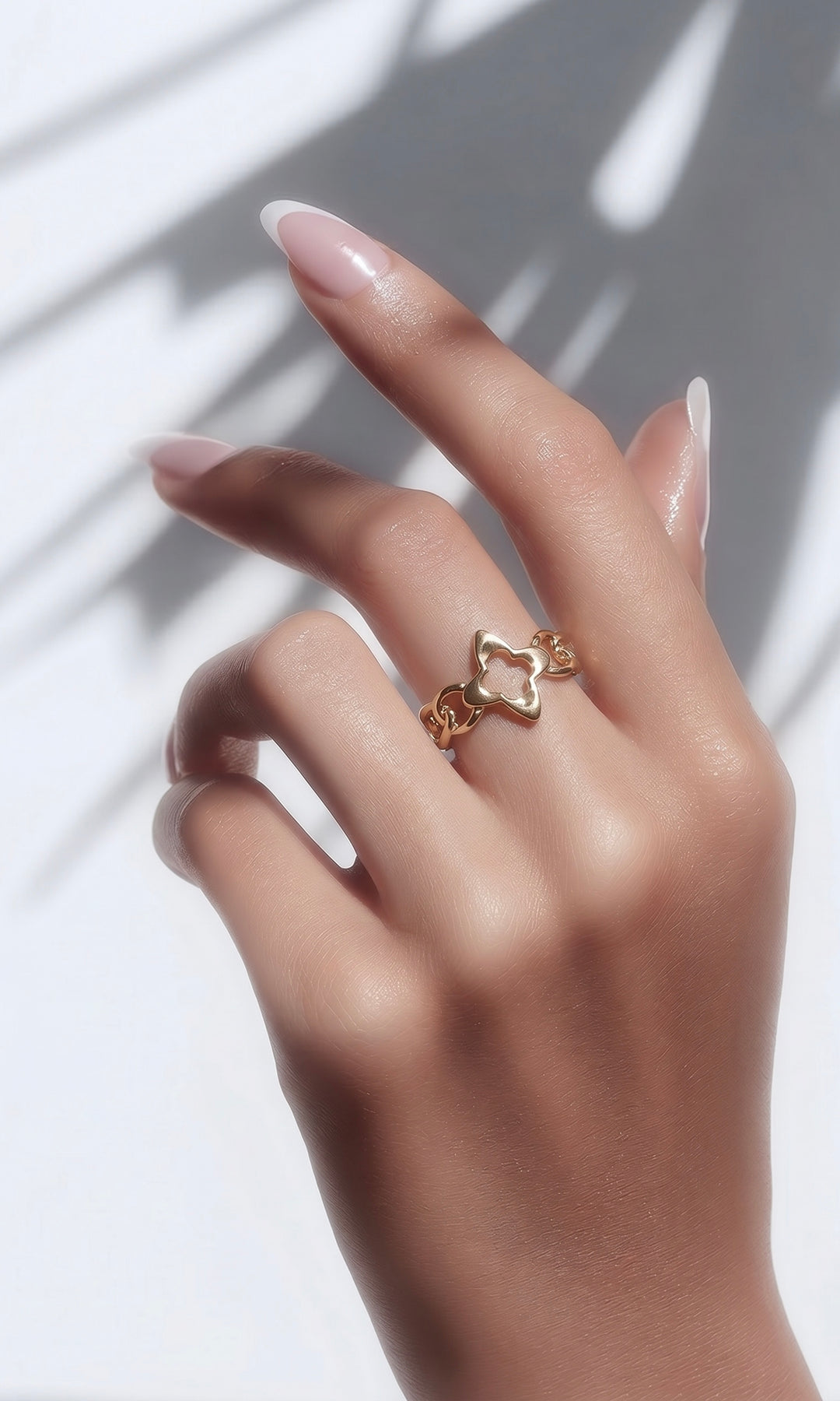Anillo 13